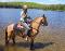 Très bon cheval offert en demi-pension :)