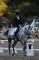 Super schoolmaster de dressage