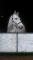 Super schoolmaster de dressage