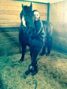 Large poney avec équipement à vendre!
