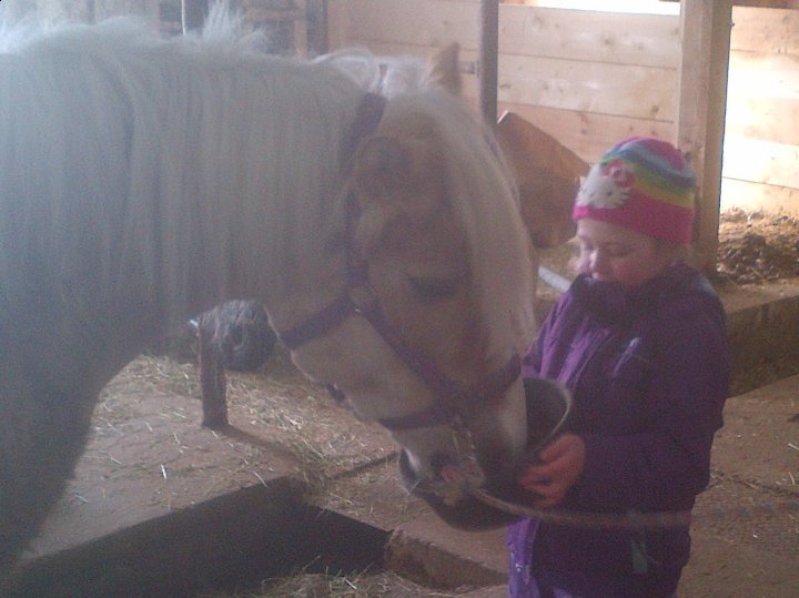 Cours d'équitation Petits et Grands!