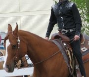 Ceinture et pantalon a vendre aussi séparement