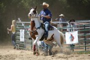 Cheval de tours