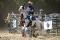 Cheval de tours