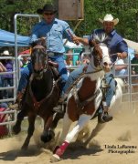Cheval de tours