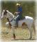 Cheval de tours