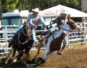 Cheval de tours