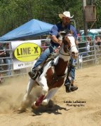 Cheval de tours