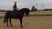 Leçons d'équitation et d'attelage, entraînement,...