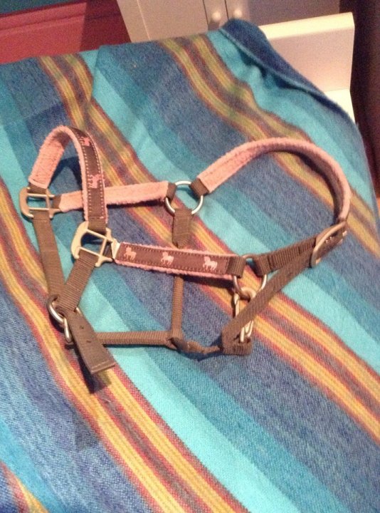 Équipement neuve pour poney/cob à vendre