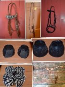 Plusieur articles equestre a vendre