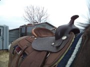 selle western