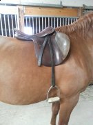 Selle Stubben à vendre