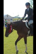 Large Ponette 10ans avec 6ans d'expierence au JEUX -rive-sud