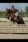 Large Ponette 10ans avec 6ans d'expierence au...