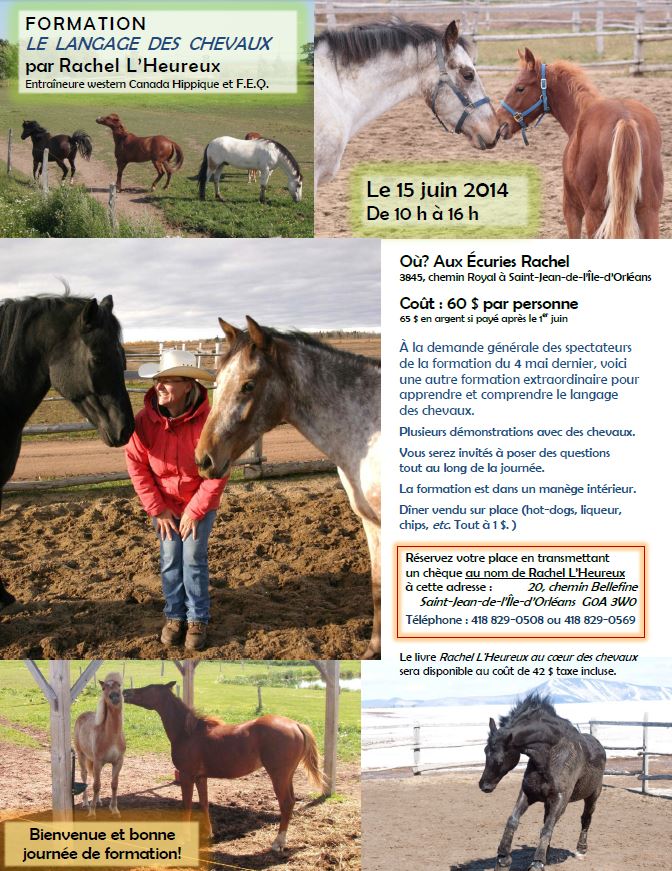 FORMATION Le langage des chevaux - Le dimanche 15 juin 2014