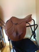 Selle Courbette à vendre -Axis