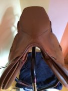 Selle Courbette à vendre -Axis