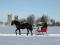 Cart-Attelage-Sleigh