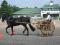 Cart, Forecart, Exercice Cart a vendre