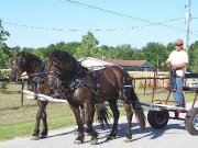 Cart, Forecart, Exercice Cart a vendre