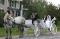 Classic Vis a Vis et Limousine a vendre