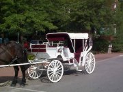 Classic Vis a Vis et Limousine a vendre