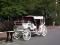 Classic Vis a Vis et Limousine a vendre