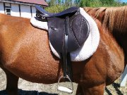 Kit selle anglaise, 17 po, pad mouton, bride, étriers, 325$