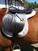 Kit selle anglaise, 17 po, pad mouton, bride,...