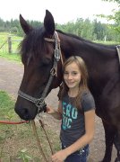 Belle jument QH a vendre 2000$ à qui la chance ?