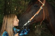 Belle jument QH a vendre 2000$ à qui la chance ?