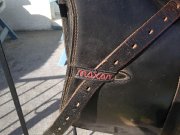 Selle anglaise 
