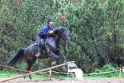 Très beau projet , un super cheval<3