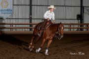 J'OFFRE MES SERVICES POUR ENTRAÎNER VOS CHEVAUX!!!
