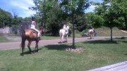 PROMOTION!! RANDONNÉE À CHEVAL/TOURS ENFANTS