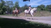 PROMOTION!! RANDONNÉE À CHEVAL/TOURS ENFANTS