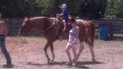PROMOTION!! RANDONNÉE À CHEVAL/TOURS ENFANTS