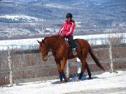 Thoroughbred à donner (retraite)