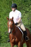 Belle jument QH croisée