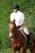 Belle jument QH croisée