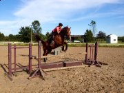 Hanovrien a Vendre 