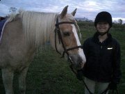 Demi-Pension, cours et monte libre, cheval...