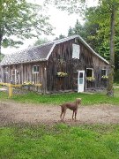 Fermette avec manège intérieur - Rive-nord de Montréal