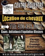 Location de cheval