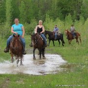 Location de cheval