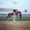 Quantum of Solace - 2004 Guelding - Trakehner x...