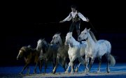 Les Nuits du Haras avec Jean-François Pignon