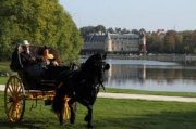 Concours International d'Attelage de Rambouillet