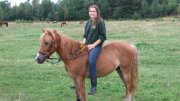 Super poney à vendre, 950$ NEGOCIABLE 